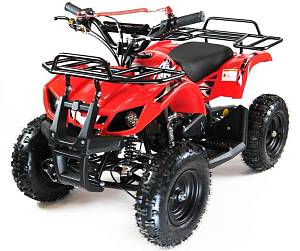 Квадроцикл MOTAX ATV Mini Grizlik Х-16 с электростартером и пультом (Красный)